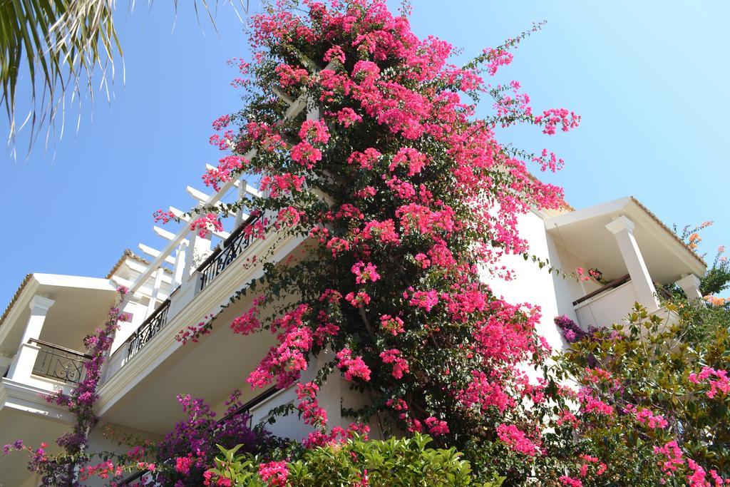 Delfino Blu Wellness Boutique Hotel Agios Stefanos Avliotes  Bagian luar foto